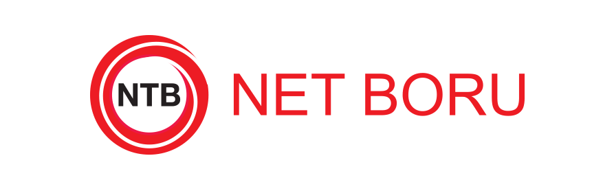 Netboru Logo